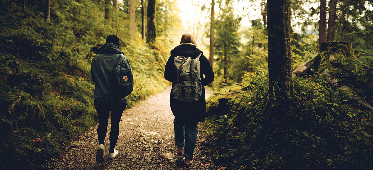 Forest Hiking Trails