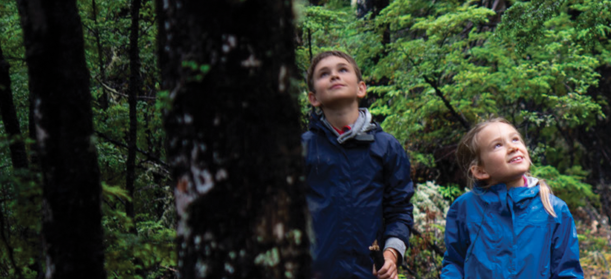 Climate Action Plan 2020