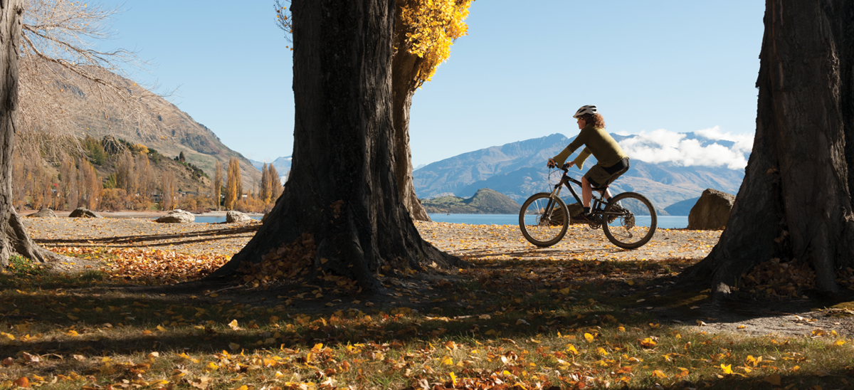 wanaka-mountain-biking-trails.png