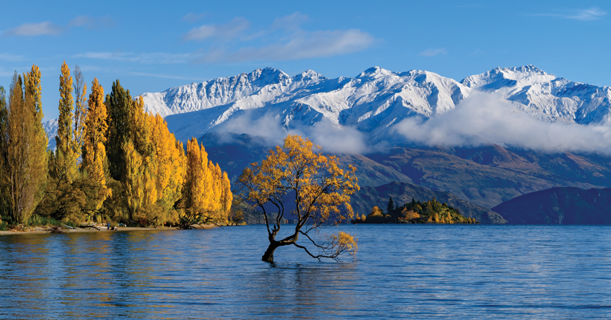 Parts of Stage Two of Wānaka Lakefront Development Plan opening soon