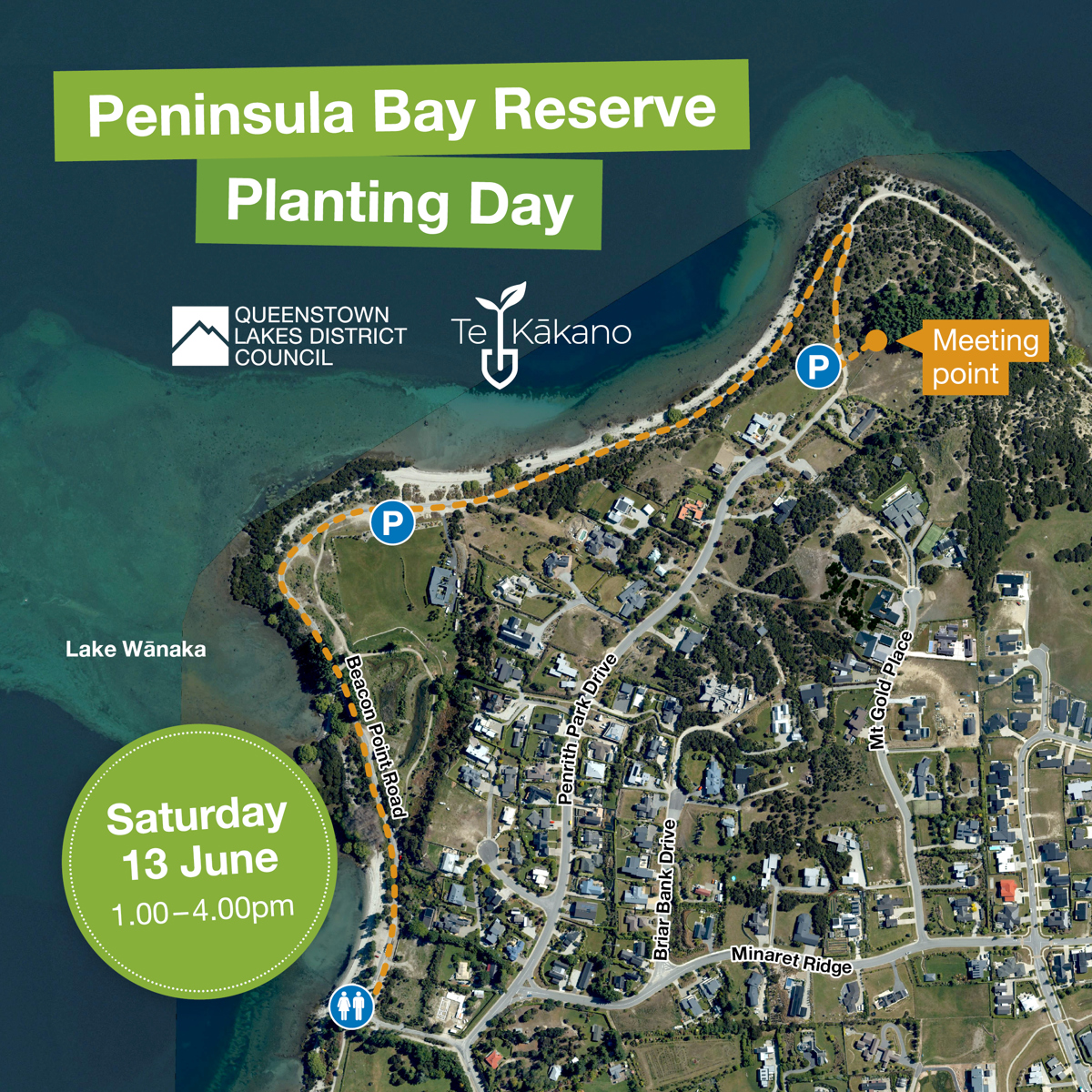 QLDC_Peninsula Bay Reserve_Planting Day Map_May26.jpg