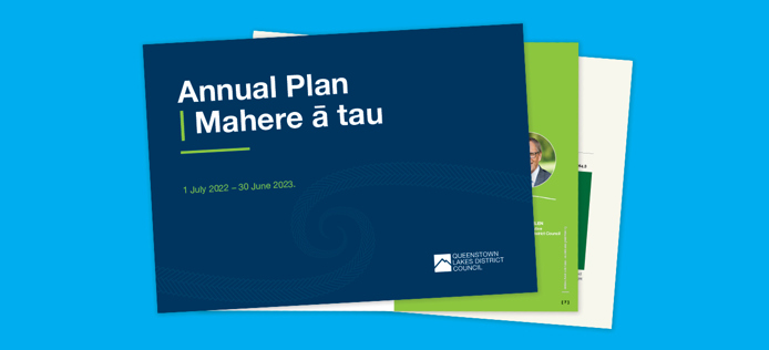Councillors adopt QLDC annual plan image