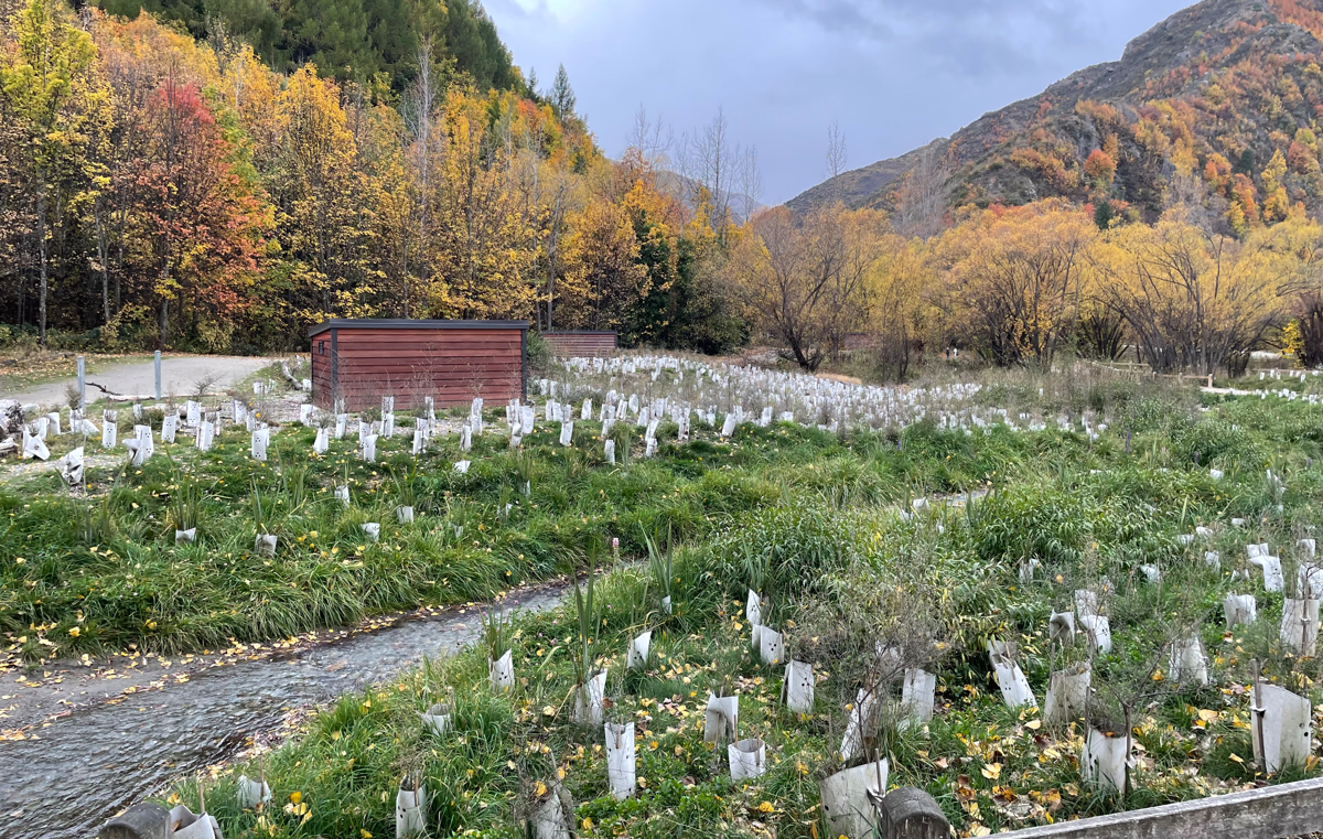 Arrowtown Banner