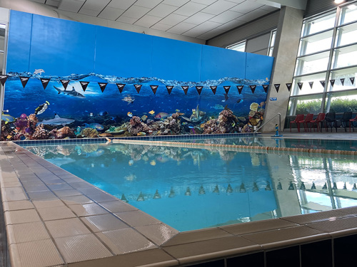 Queenstown Learn to Swim pool