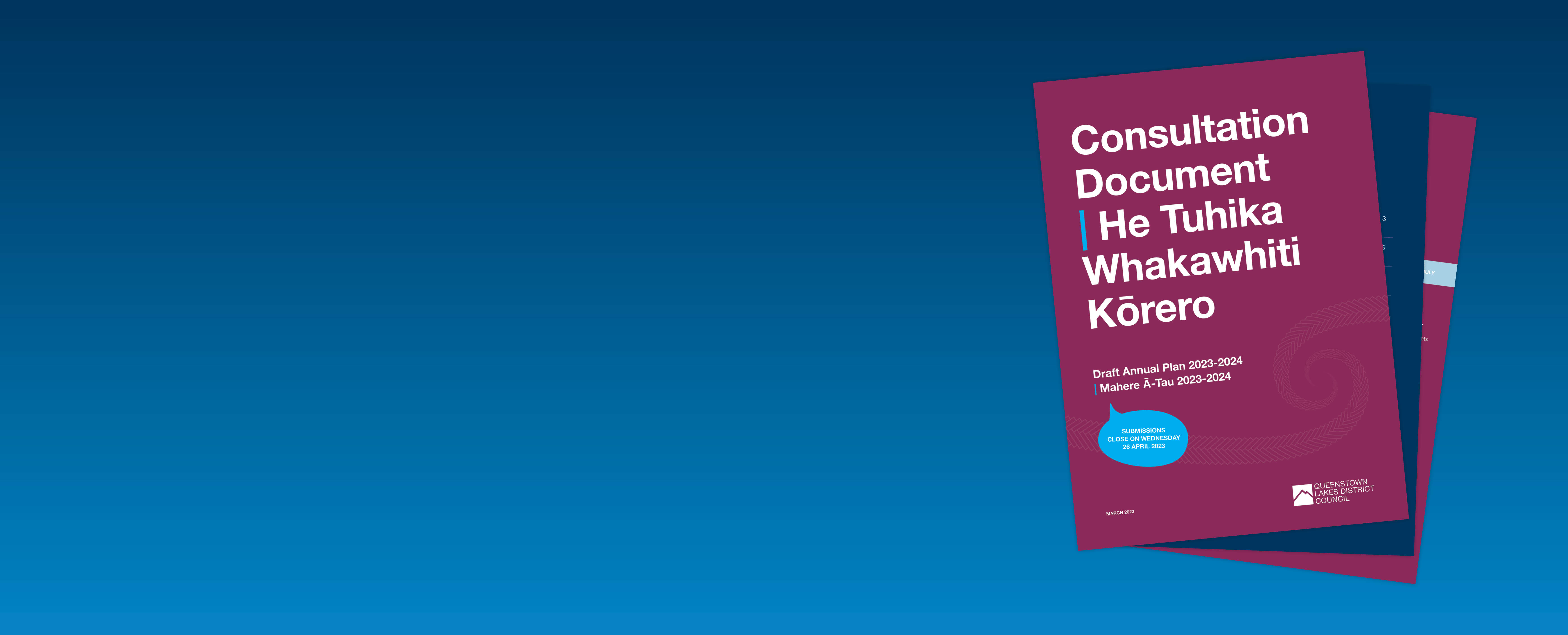 QLDC Annual Plan Consultation Web Swim Lane Mar23