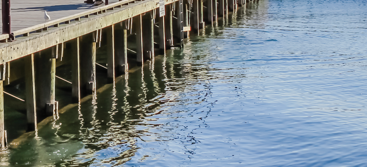 Queenstown Wharf Lake Levels