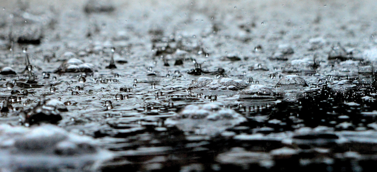 Rain Drops